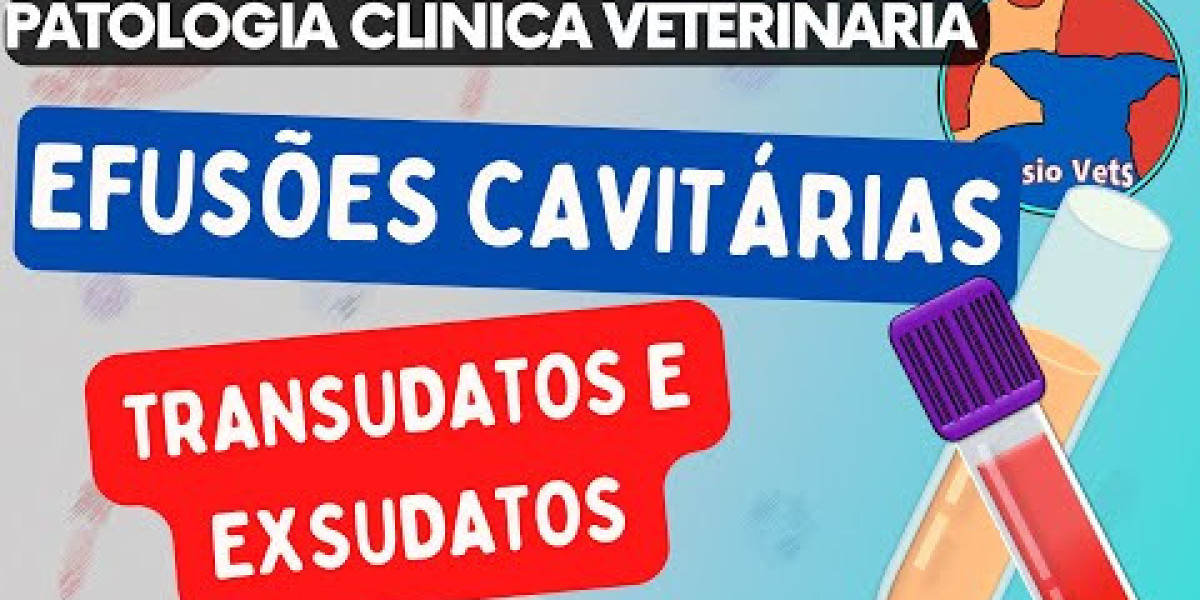 Quem é o responsável pela transmissão da raiva nos cães?