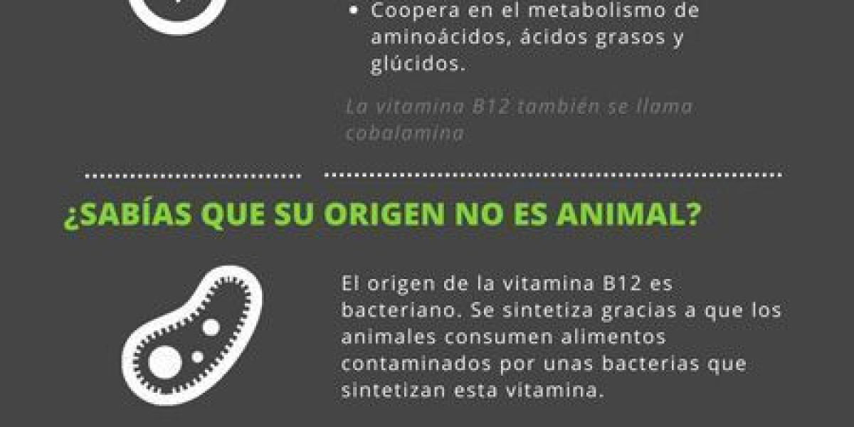 La planta ruda: propiedades beneficios y usos en la medicina natural